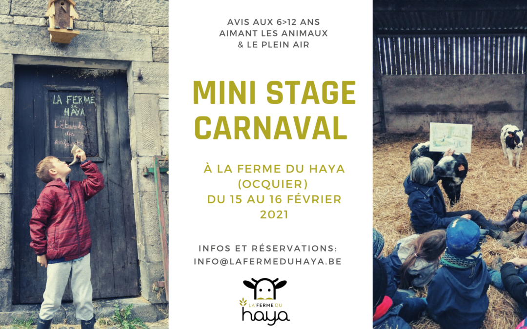 Mini stage de carnaval à la ferme du Haya