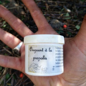 Onguent à la propolis - 50g