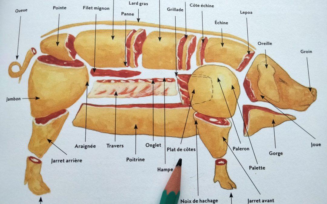 Le plat de côtes