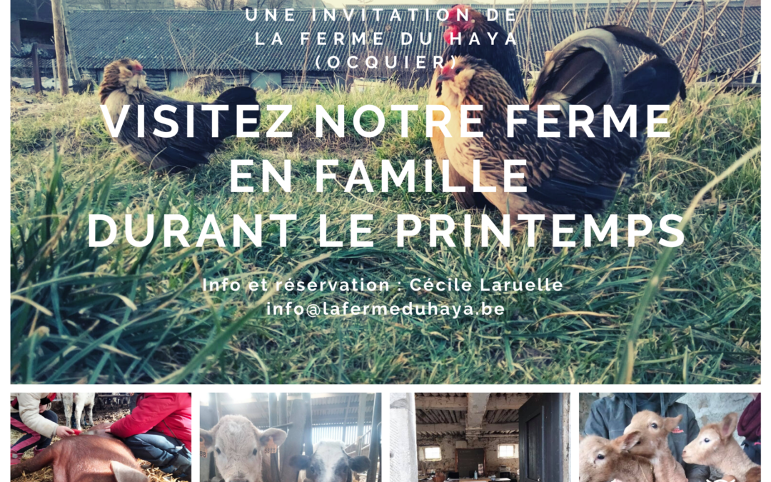 Visitez notre ferme en famille durant le printemps