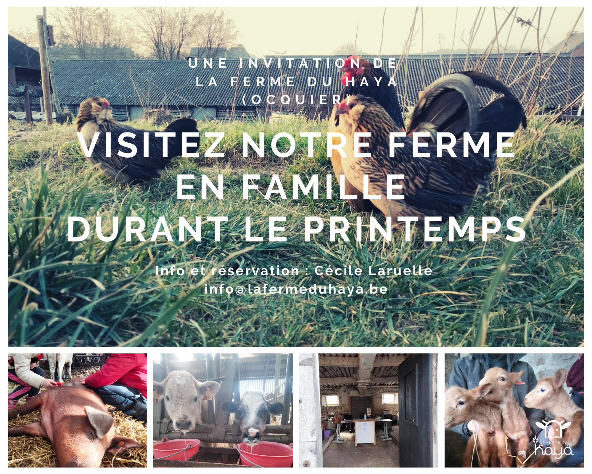 visite ferme en famille au printemps