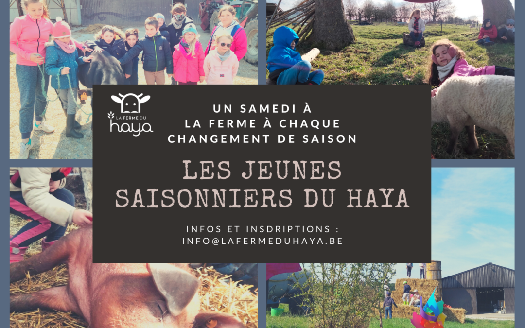 Les jeunes saisonniers du Haya