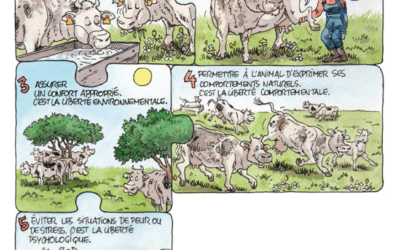Le bien-être animal