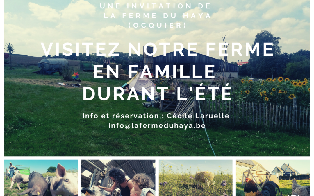 Visitez notre ferme en famille cet été !