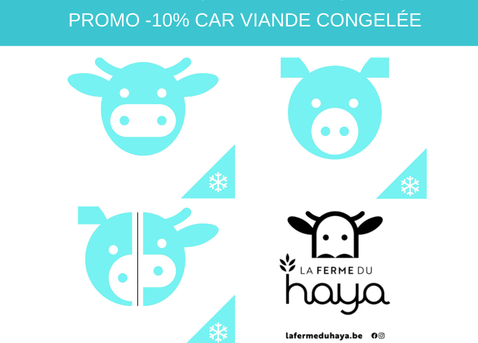 Viandes congelées en vente actuellement