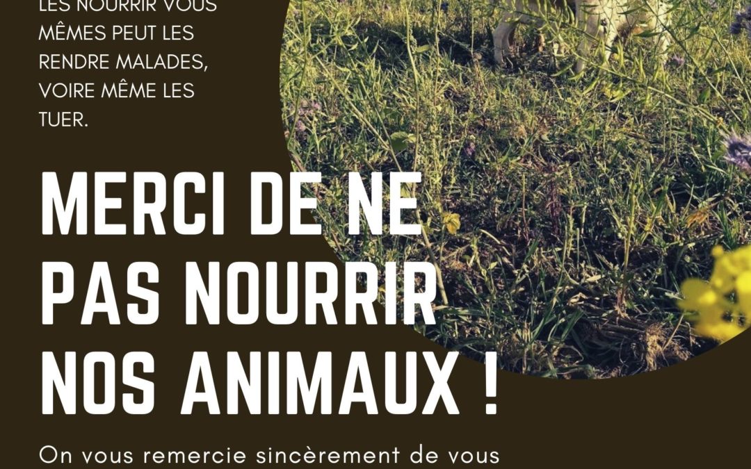 Merci de NE PAS NOURRIR nos animaux !