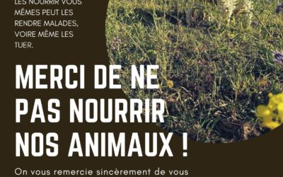 Merci de NE PAS NOURRIR nos animaux !