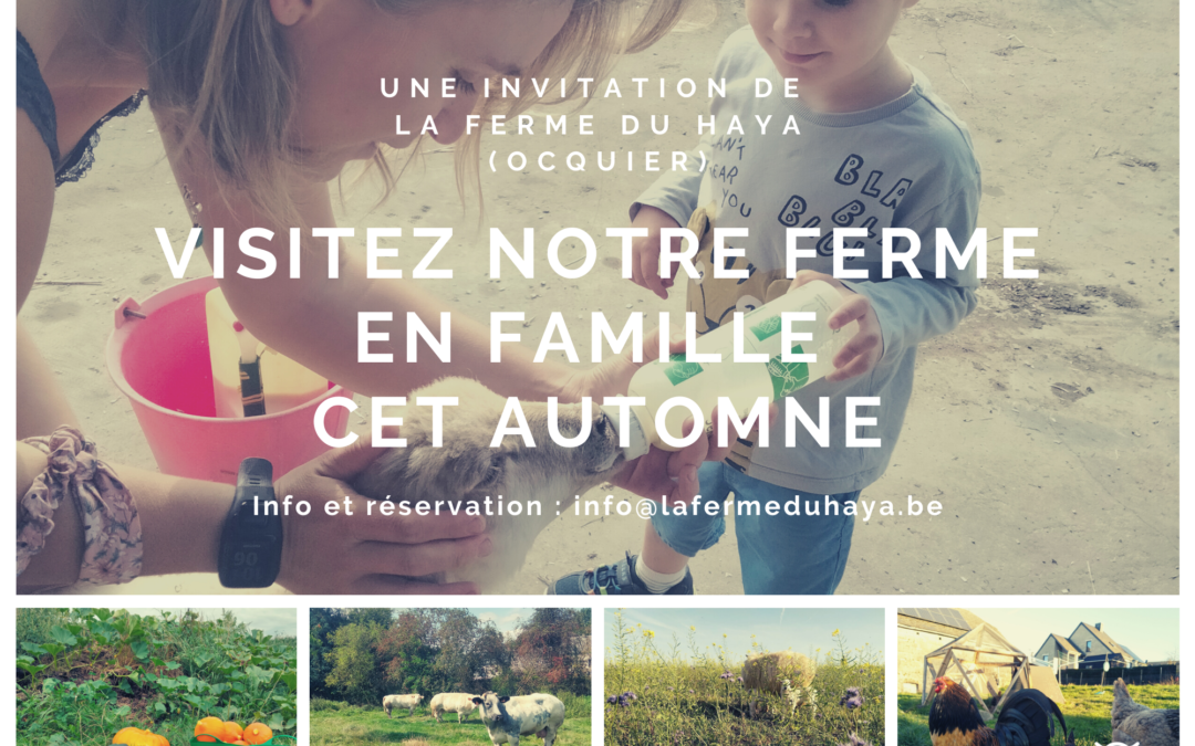 Visitez notre ferme en famille cet automne