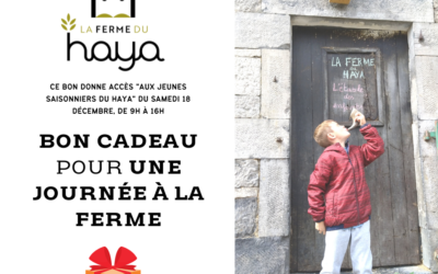 Bon cadeau pour une journée à la ferme