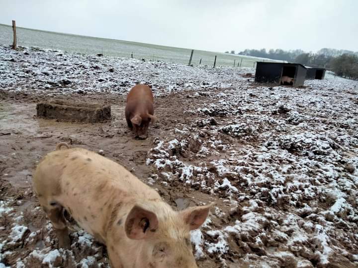 L’hiver à la ferme du Haya – A vos agendas !