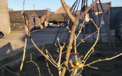 Le printemps 2022 à la ferme du Haya – A vos agendas !