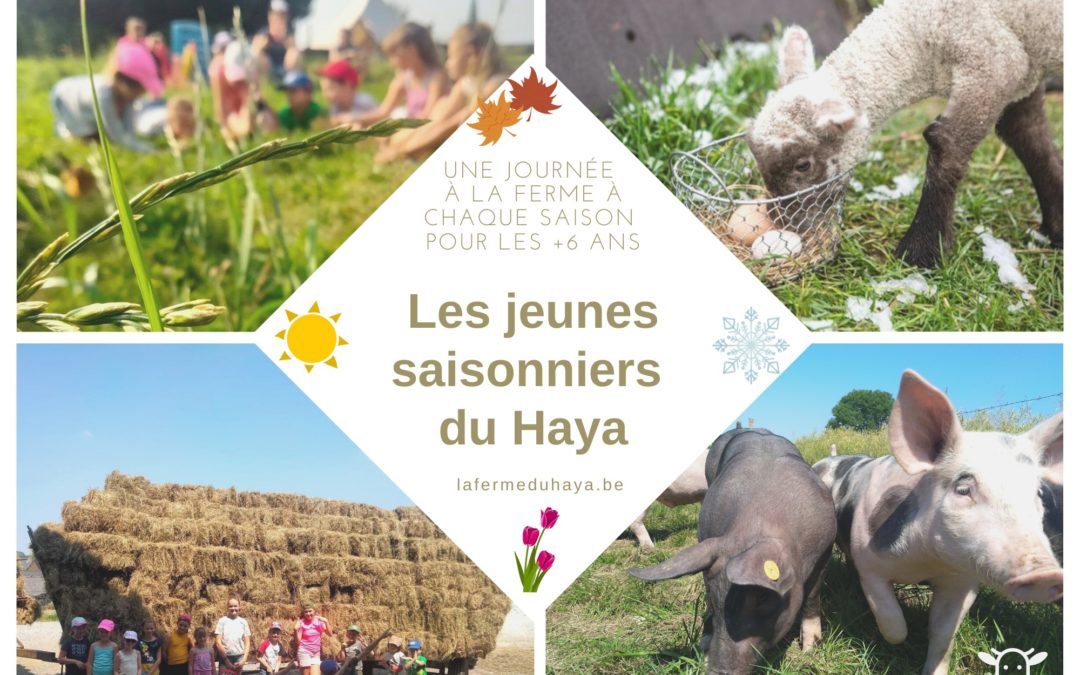 Les jeunes saisonniers du Haya – Printemps et été 2022