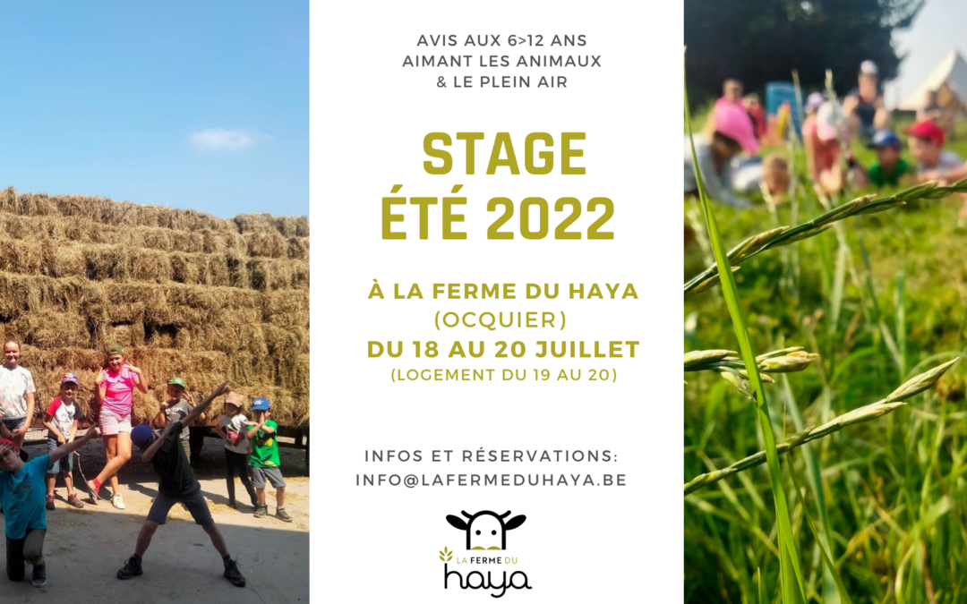 Stage et mini camp d’été à la ferme