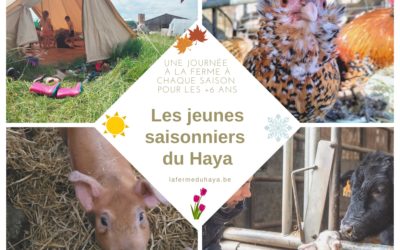 Les jeunes saisonniers du Haya – automne 2022