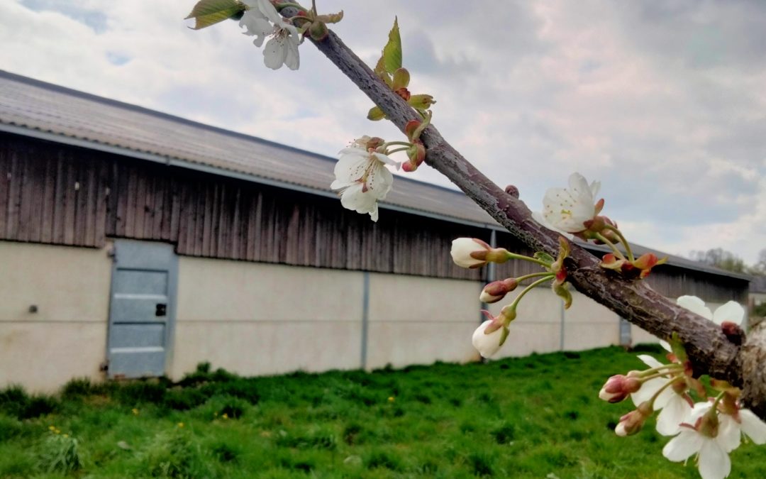 Le printemps à la ferme du Haya – A vos agendas !