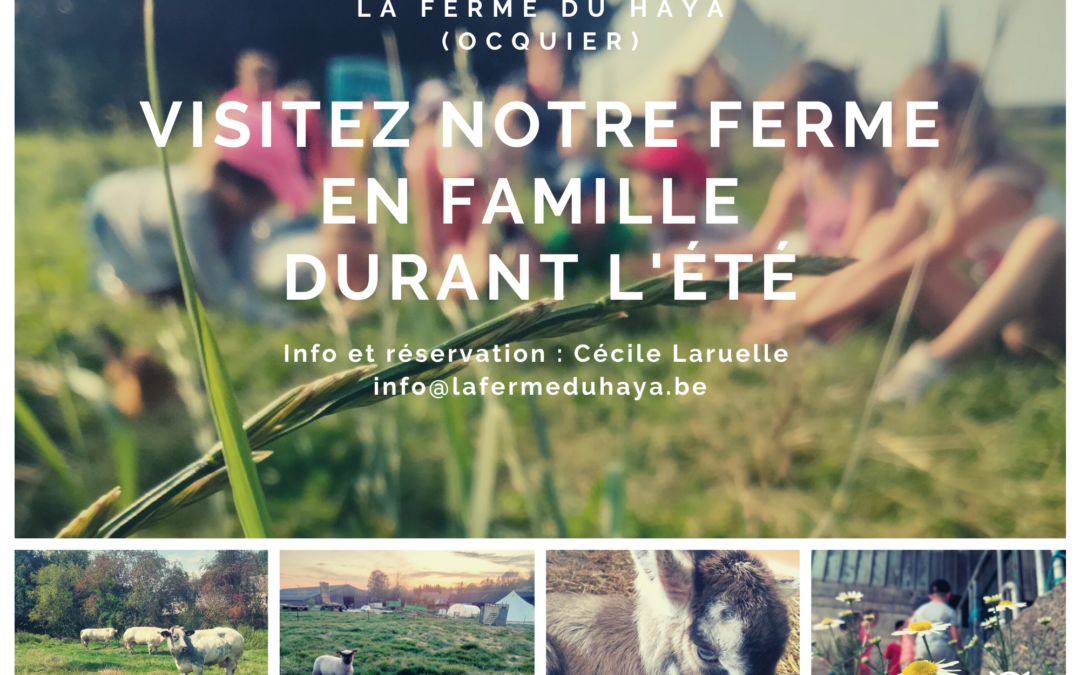 Visitez notre ferme en famille cet été