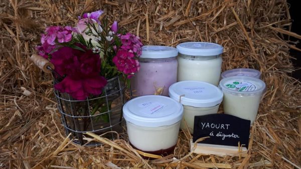 Yaourt nature (500 ml - pot en verre consigné)