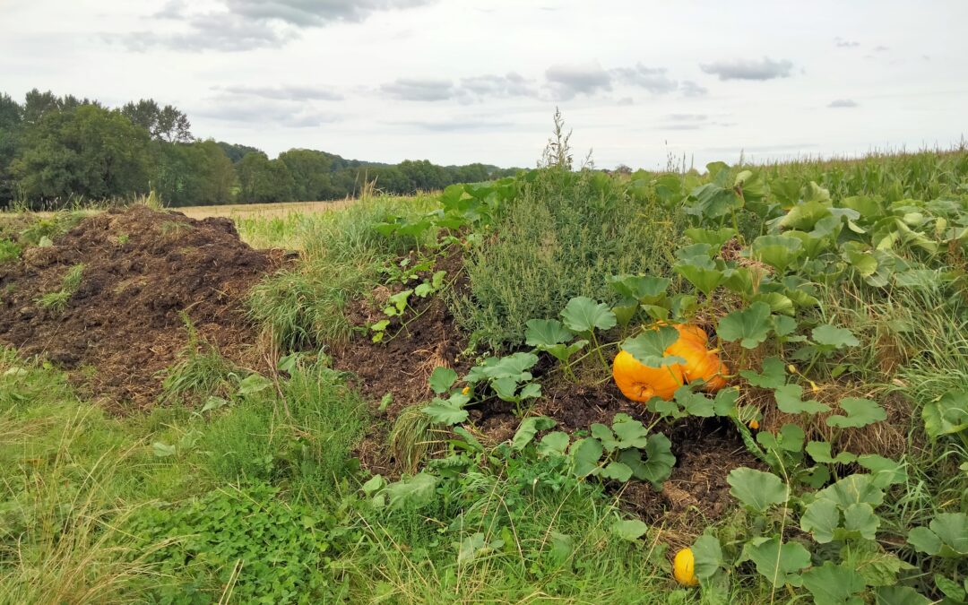 L’automne 2022 à la ferme du Haya – A vos agendas !