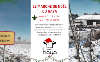 Le marché de Noël du Haya