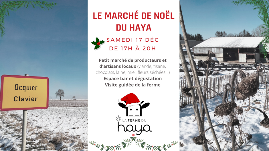 Le marché de Noël du Haya