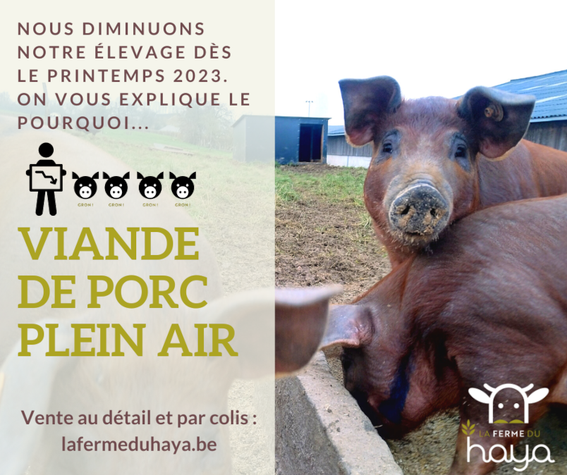 Nous diminuons notre élevage de porc !