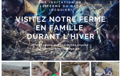 Visitez notre ferme en famille cet hiver