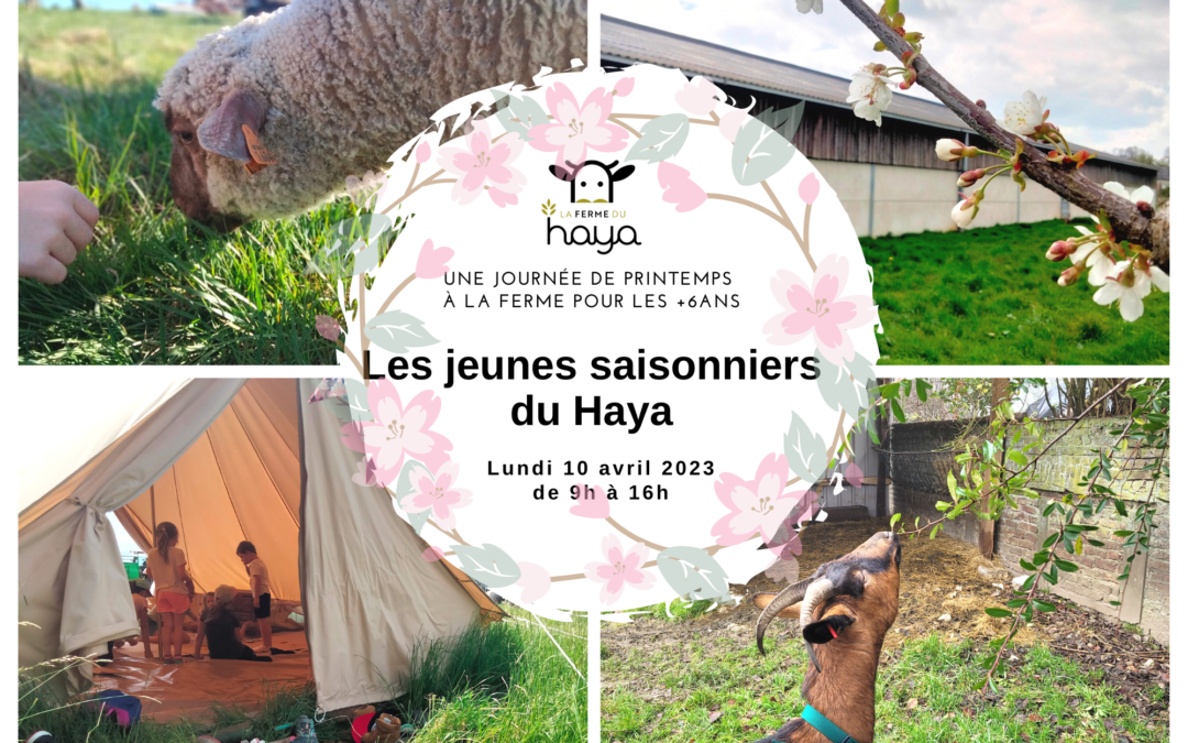 Les jeunes saisonniers du Haya – printemps