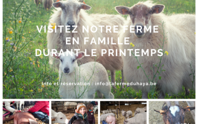 Visitez notre ferme ce printemps 2023 !