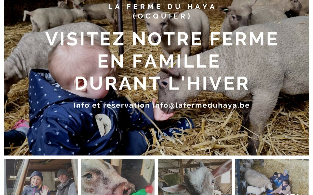 Visitez notre ferme en famille cet hiver