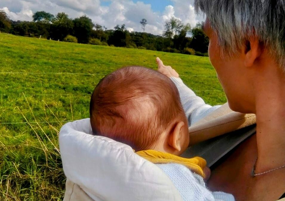 Lettre à mon fils…agriculteur de demain ?