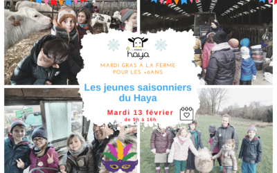 Les saisonniers du Haya – hiver 2024