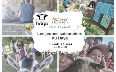 Les saisonniers du Haya – printemps 2024