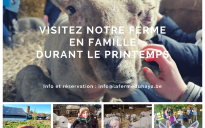 Visitez notre ferme en famille au printemps