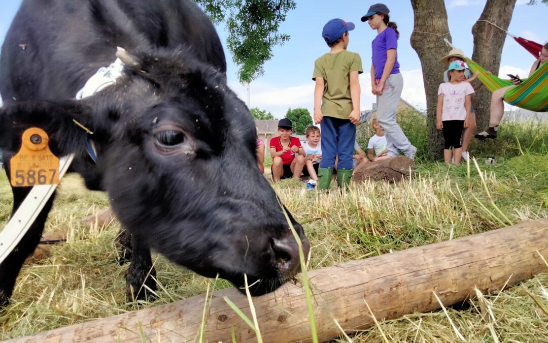 Nos activités à la ferme pour les enfants et familles