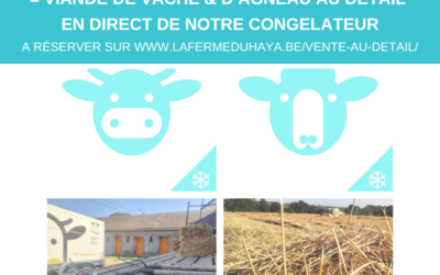 Viandes congelées en vente durant l’été