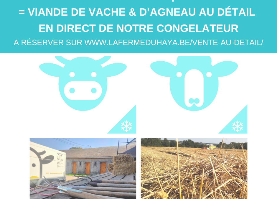 Viandes congelées en vente durant l’été