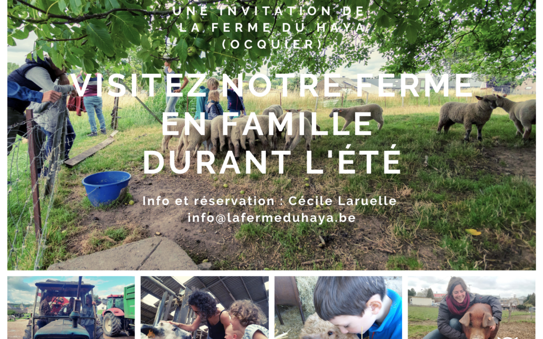 Visitez notre ferme en famille cet été