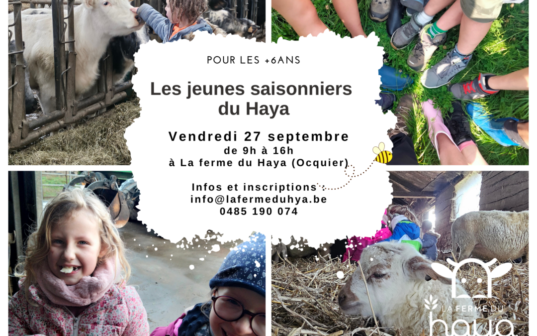 Les saisonniers du Haya – automne 2024