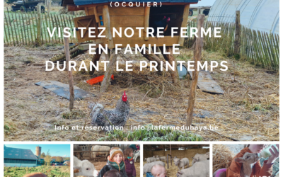 Visitez notre ferme en famille au printemps