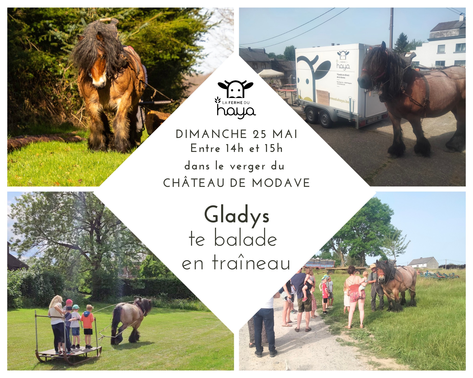 gladys le 25 mai a modave