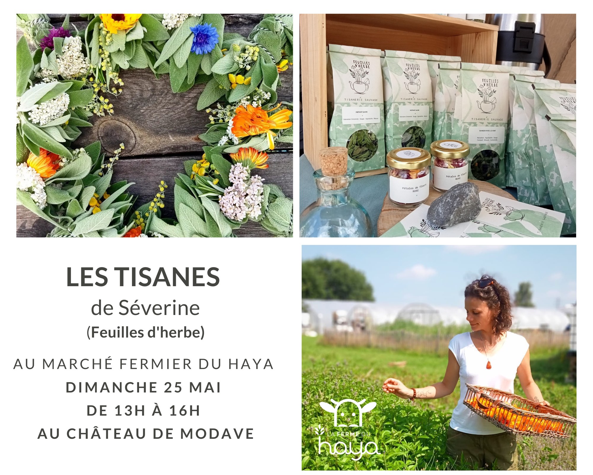 severine 25 mai 2025