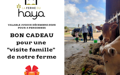 Bon cadeau à offrir