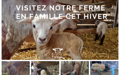 Visite famille de la ferme cet hiver