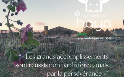 Pour 2026, on vous souhaite…