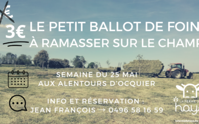 Petit ballot de foin à vendre sur le champ