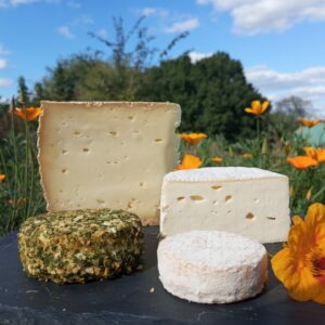 Panier fromages brebis