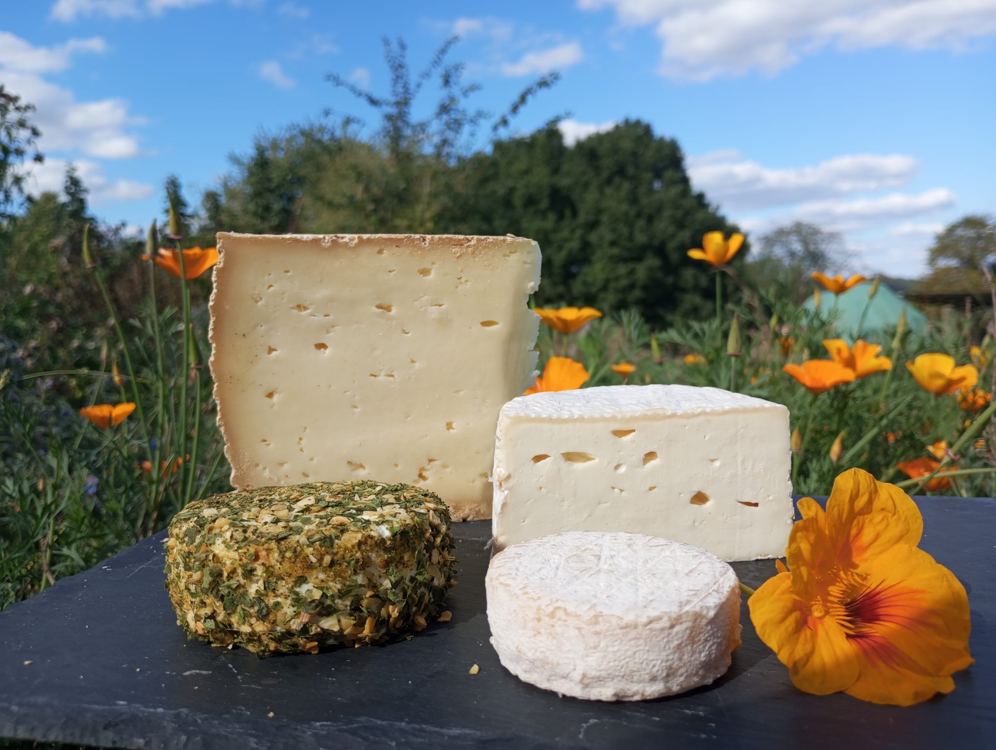 Panier fromages brebis