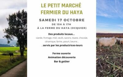 Marché du 17 octobre