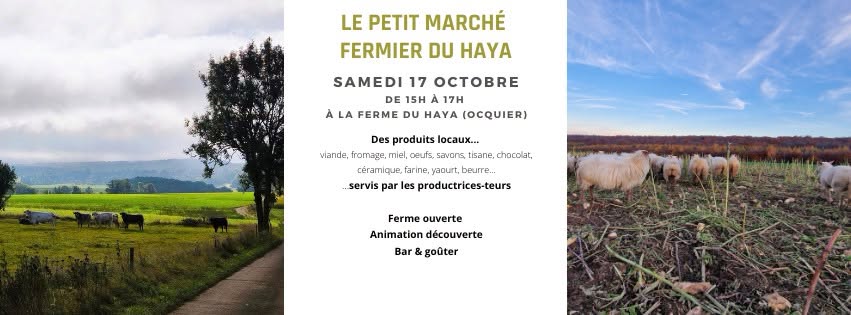 Marché du 17 octobre